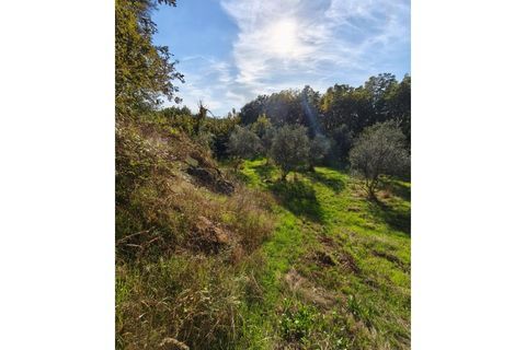 Helårsgrund i Regadas, Braga, Regadas - € 48.500 | Ref: TER_426 - foto 6
