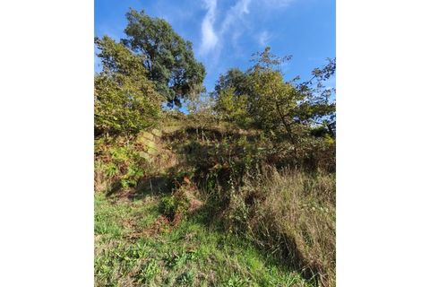 Helårsgrund i Regadas, Braga, Regadas - € 48.500 | Ref: TER_426 - foto 7