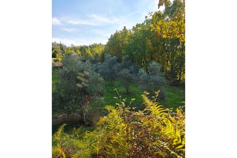 Helårsgrund i Regadas, Braga, Regadas - € 48.500 | Ref: TER_426 - foto 8