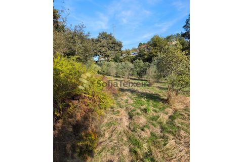 Helårsgrund i Regadas, Braga, Regadas - € 48.500 | Ref: TER_426 - foto 11