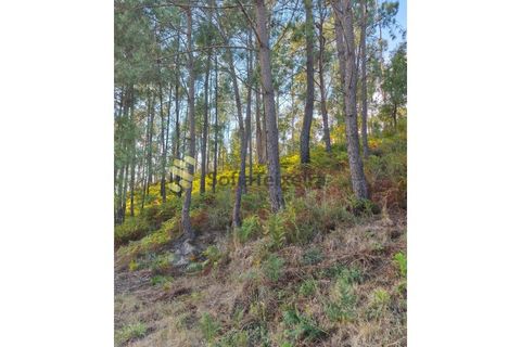 Helårsgrund i Regadas, Braga, Regadas - € 48.500 | Ref: TER_426 - foto 14