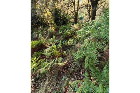 Helårsgrund i Regadas, Braga, Regadas - € 48.500 | Ref: TER_426 - foto 18