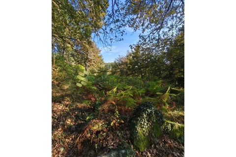 Helårsgrund i Regadas, Braga, Regadas - € 48.500 | Ref: TER_426 - foto 19