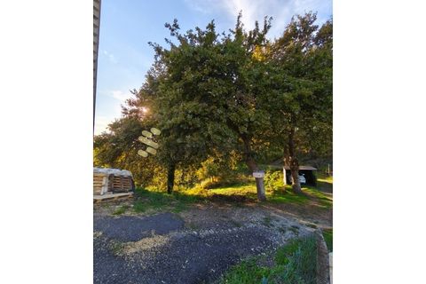 Helårsgrund i Regadas, Braga, Regadas - € 48.500 | Ref: TER_426 - foto 22