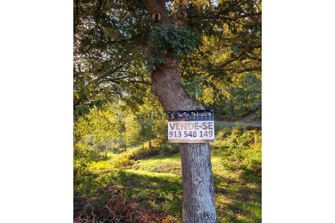 Helårsgrund i Regadas, Braga, Regadas - € 48.500 | Ref: TER_426 - foto 23