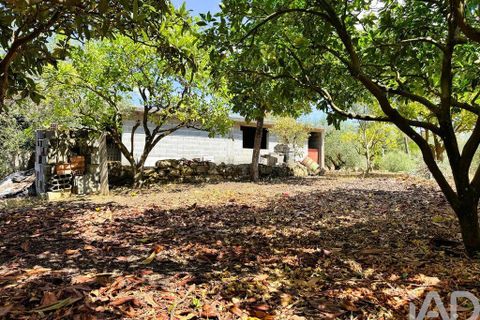 Byhus i Pombal, Leiria, Pombal - € 380.000 | Ref: 151429 - foto 30