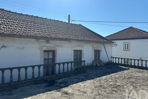 Byhus i Rio Maior, Santarem, Rio Maior - € 138.000 | Ref: 150857 - foto 23