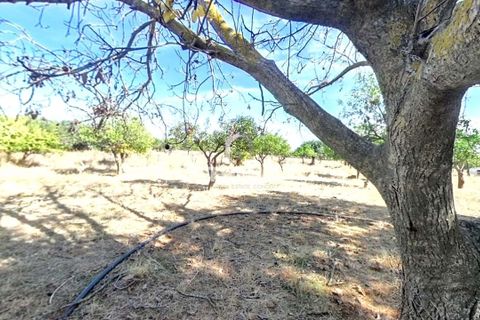 Villa i Elvas, Portalegre, Elvas - € 220 000 | Ref: ITH3450 - foto 7