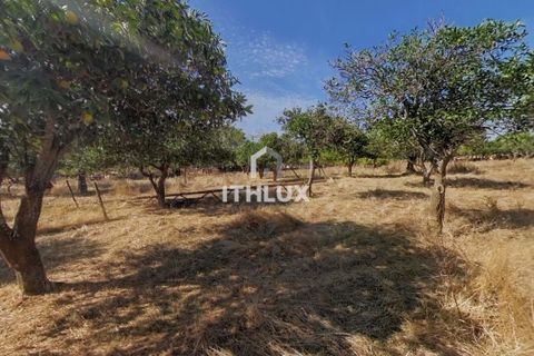 Villa i Elvas, Portalegre, Elvas - € 220 000 | Ref: ITH3450 - foto 25