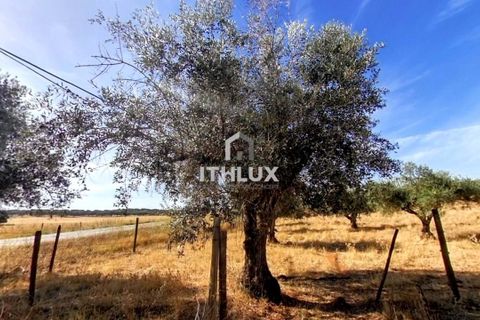 Villa i Elvas, Portalegre, Elvas - € 220 000 | Ref: ITH3450 - foto 28