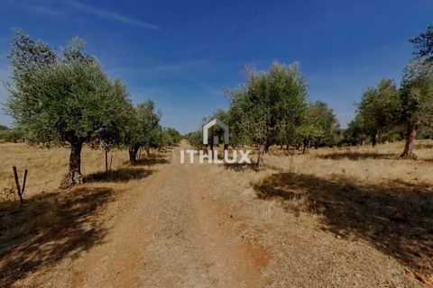 Villa i Elvas, Portalegre, Elvas - € 220 000 | Ref: ITH3450 - foto 29
