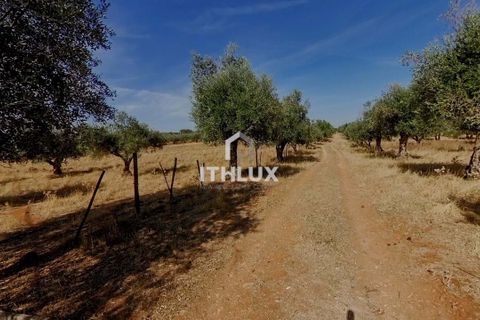 Villa i Elvas, Portalegre, Elvas - € 220 000 | Ref: ITH3450 - foto 30