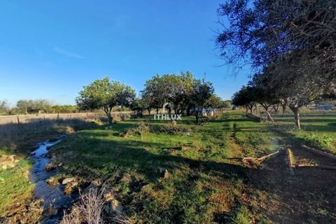 Villa i Elvas, Portalegre, Elvas - € 220 000 | Ref: ITH3450 - foto 9