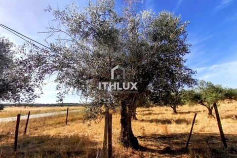 Villa i Elvas, Portalegre, Elvas - € 220 000 | Ref: ITH3450 - foto 17