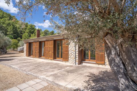 Finca i Orient, Mallorca, Orient - € 1.485.000 | Ref: FALC-DiRa-74564 - foto 37