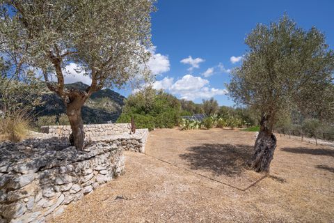 Finca i Orient, Mallorca, Orient - € 1.485.000 | Ref: FALC-DiRa-74564 - foto 39