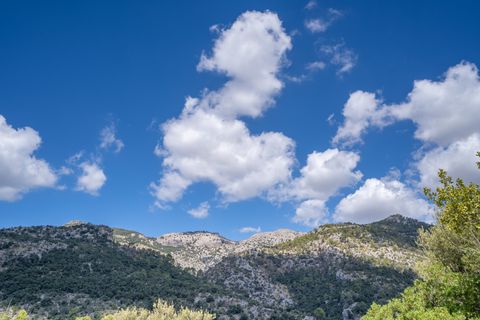 Finca i Orient, Mallorca, Orient - € 1.485.000 | Ref: FALC-DiRa-74564 - foto 41