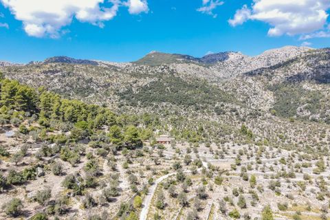 Finca i Orient, Mallorca, Orient - € 1.485.000 | Ref: FALC-DiRa-74564 - foto 42