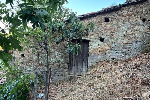 Stadthaus in Proenca-a-Nova, Castelo Branco, Proenca-a-Nova - € 9.500 | Ref: 148016 - Foto 1