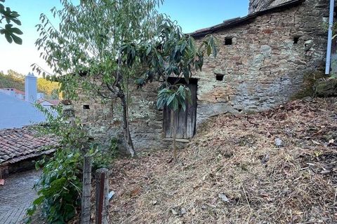 Stadthaus in Proenca-a-Nova, Castelo Branco, Proenca-a-Nova - € 9.500 | Ref: 148016 - Foto 14