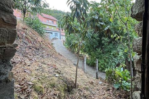 Stadthaus in Proenca-a-Nova, Castelo Branco, Proenca-a-Nova - € 9.500 | Ref: 148016 - Foto 16
