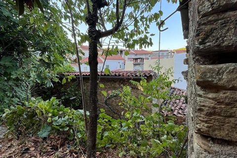Stadthaus in Proenca-a-Nova, Castelo Branco, Proenca-a-Nova - € 9.500 | Ref: 148016 - Foto 19