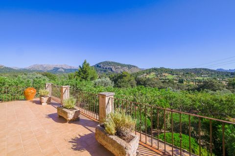 Herregård i Pollenca, Mallorca, Pollenca - € 1 800 000 | Ref: POL53014ETV - foto 2