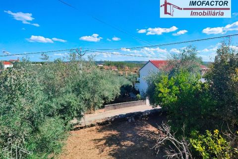 Villa i Castelo Branco, Castelo Branco, Castelo Branco - € 66.000 | Ref: 21-11846A - foto 13