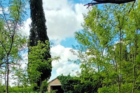 Farm hus i Cetona, Siena, Cetona - € 110.000 | Ref: a5153ta2480126a - foto 8