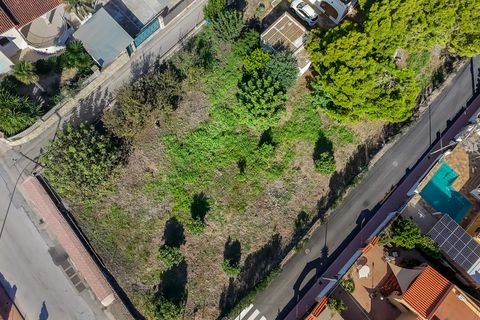 Helårsgrund i Els Poblets, Alicante, Els Poblets - € 715.000 | Ref: ES-DEN-019231 - foto 5