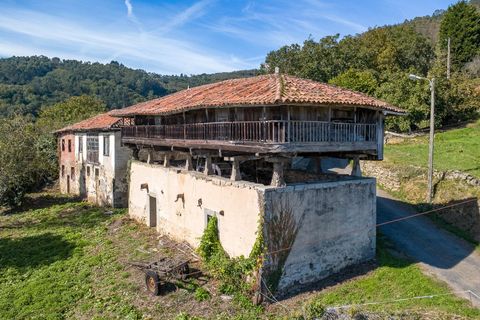 Villa i Salas, Asturias, Salas - € 66.000 | Ref: EXP11685/8930 - foto 5