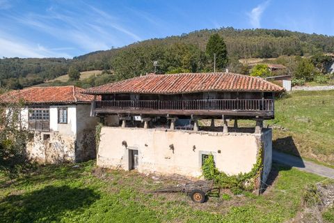 Villa i Salas, Asturias, Salas - € 66.000 | Ref: EXP11685/8930 - foto 32