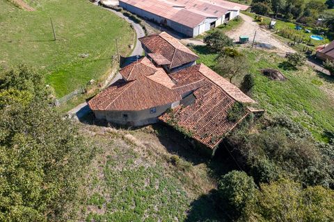 Villa i Salas, Asturias, Salas - € 66.000 | Ref: EXP11685/8930 - foto 35