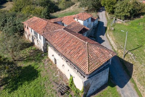 Villa i Salas, Asturias, Salas - € 66.000 | Ref: EXP11685/8930 - foto 37