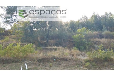 Helårsgrund i Castelo Branco, Castelo Branco, Castelo Branco - € 18.500 | Ref: 5539/AC - foto 1