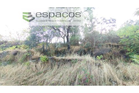 Helårsgrund i Castelo Branco, Castelo Branco, Castelo Branco - € 18.500 | Ref: 5539/AC - foto 4