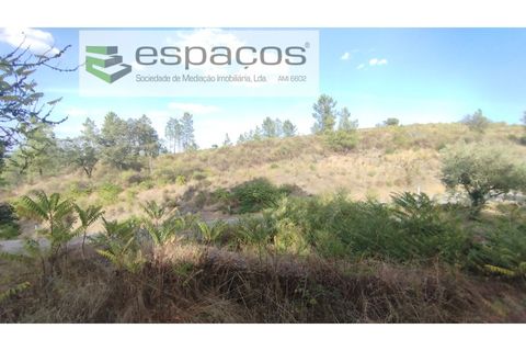 Helårsgrund i Castelo Branco, Castelo Branco, Castelo Branco - € 18.500 | Ref: 5539/AC - foto 3