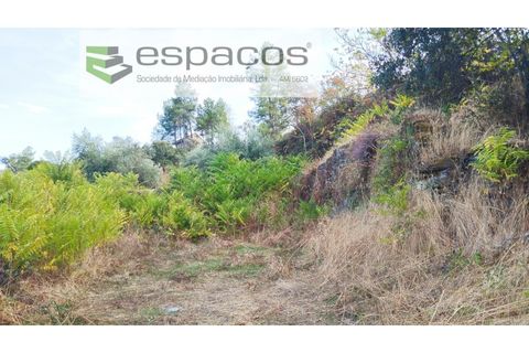 Helårsgrund i Castelo Branco, Castelo Branco, Castelo Branco - € 18.500 | Ref: 5539/AC - foto 2