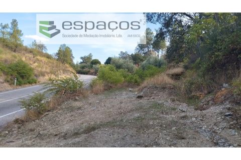 Helårsgrund i Castelo Branco, Castelo Branco, Castelo Branco - € 18.500 | Ref: 5539/AC - foto 6