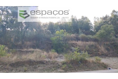 Helårsgrund i Castelo Branco, Castelo Branco, Castelo Branco - € 18.500 | Ref: 5539/AC - foto 7