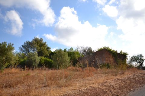 Helårsgrund i Loule, Faro, Loule - € 199.000 | Ref: 1009-2398 - foto 1