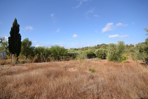 Helårsgrund i Loule, Faro, Loule - € 199.000 | Ref: 1009-2398 - foto 3