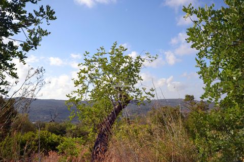 Helårsgrund i Loule, Faro, Loule - € 199.000 | Ref: 1009-2398 - foto 7