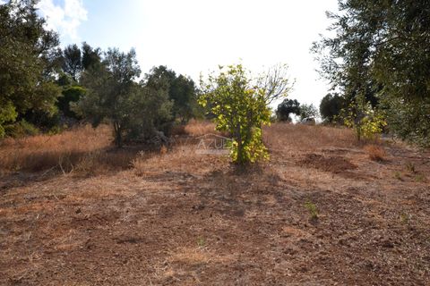 Helårsgrund i Loule, Faro, Loule - € 199.000 | Ref: 1009-2398 - foto 9