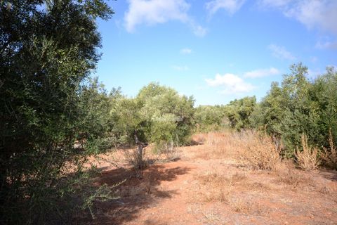 Helårsgrund i Loule, Faro, Loule - € 199.000 | Ref: 1009-2398 - foto 10