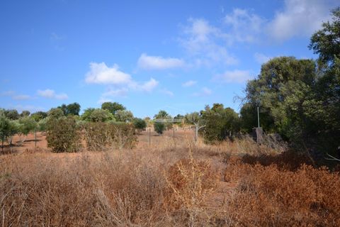 Helårsgrund i Loule, Faro, Loule - € 199.000 | Ref: 1009-2398 - foto 11
