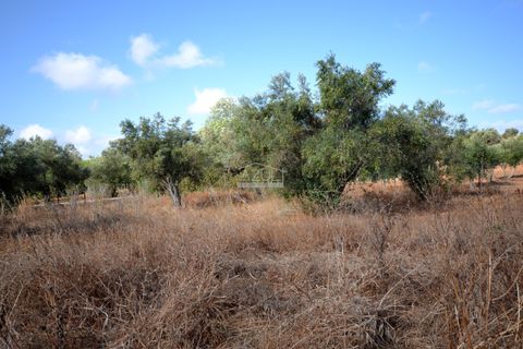 Helårsgrund i Loule, Faro, Loule - € 199.000 | Ref: 1009-2398 - foto 12
