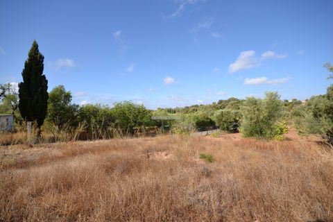 Helårsgrund i Loule, Faro, Loule - € 199.000 | Ref: 1009-2398 - foto 13