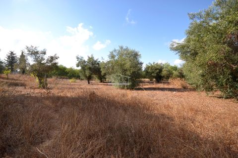 Helårsgrund i Loule, Faro, Loule - € 199.000 | Ref: 1009-2398 - foto 15