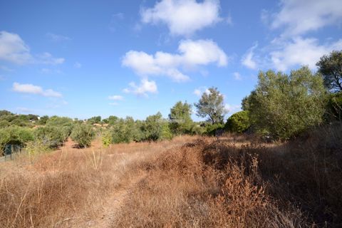 Helårsgrund i Loule, Faro, Loule - € 199.000 | Ref: 1009-2398 - foto 16